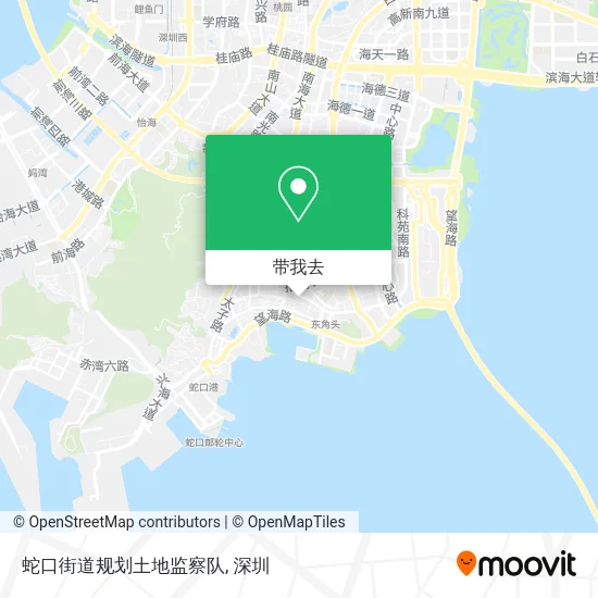 蛇口街道规划土地监察队地图