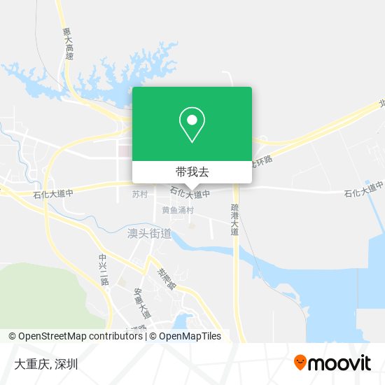 大重庆地图