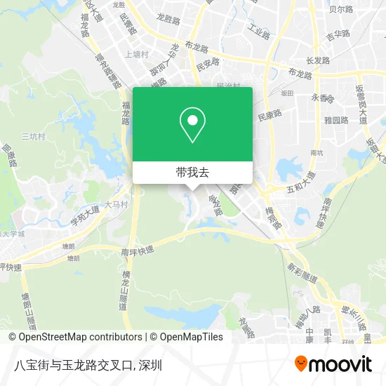 八宝街与玉龙路交叉口地图