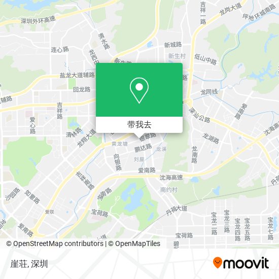 崖荘地图