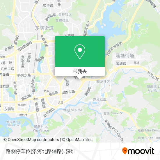 路侧停车位(沿河北路辅路)地图
