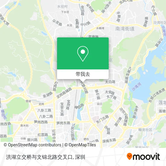 洪湖立交桥与文锦北路交叉口地图