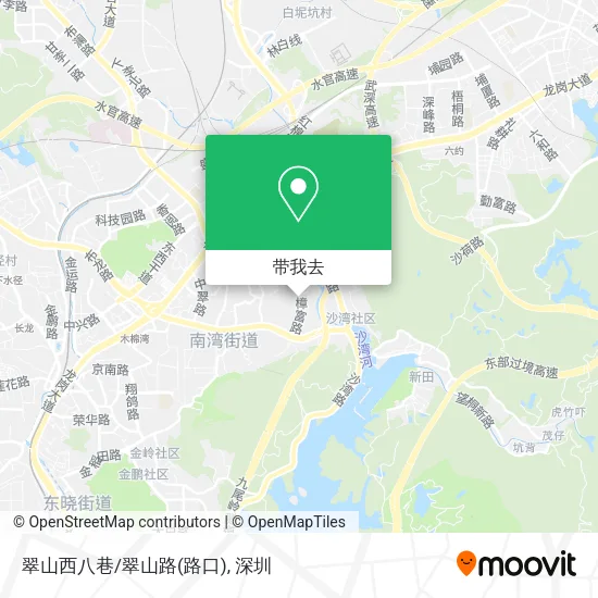 翠山西八巷/翠山路(路口)地图