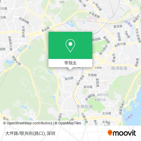大坪路/联兴街(路口)地图