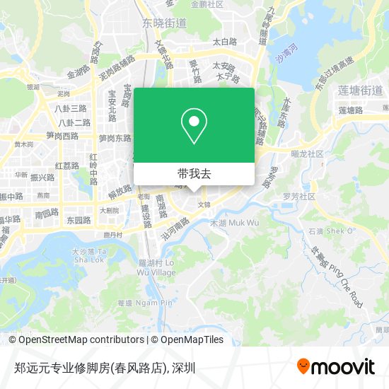 郑远元专业修脚房(春风路店)地图