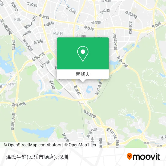 温氏生鲜(民乐市场店)地图