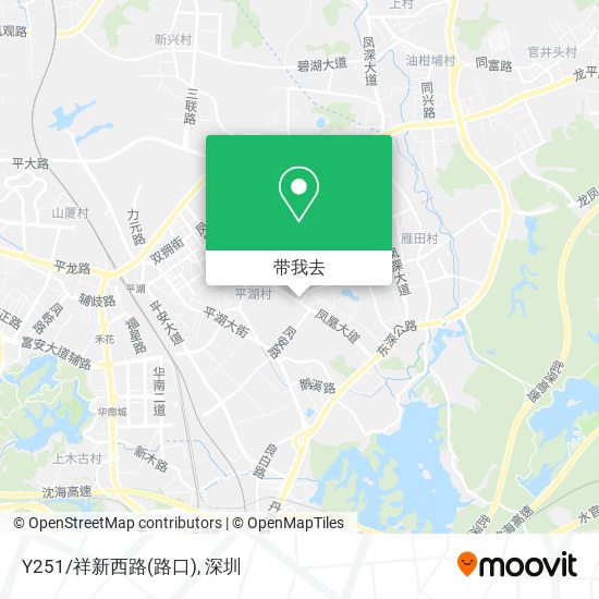 Y251/祥新西路(路口)地图
