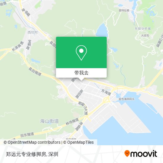 郑远元专业修脚房地图