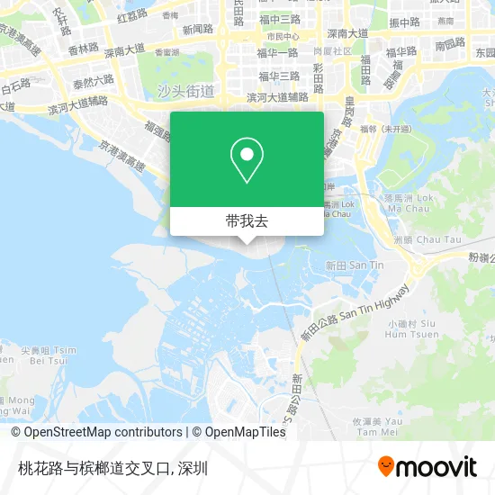 桃花路与槟榔道交叉口地图