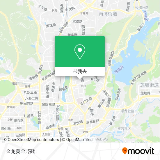 金龙黄金地图