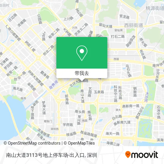 南山大道3113号地上停车场-出入口地图