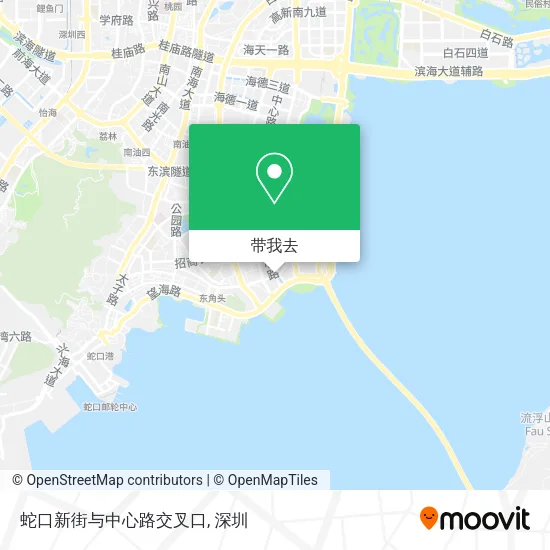 蛇口新街与中心路交叉口地图