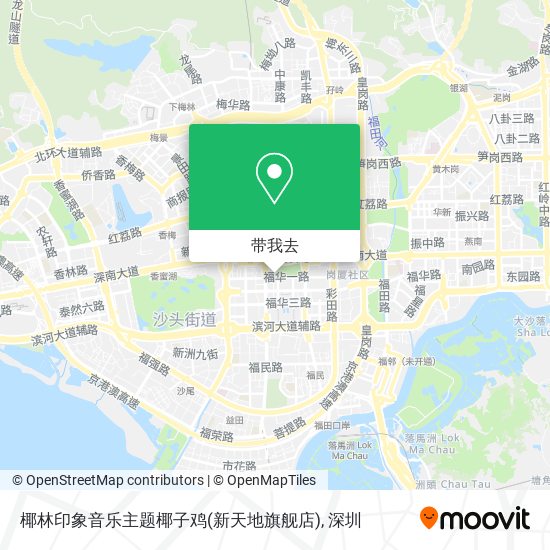 椰林印象音乐主题椰子鸡(新天地旗舰店)地图