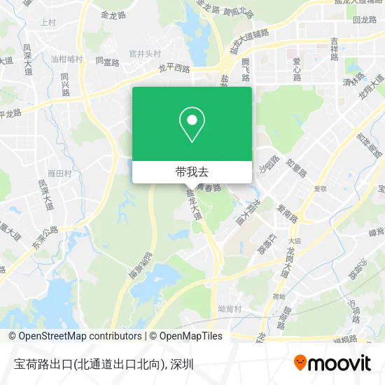 宝荷路出口(北通道出口北向)地图