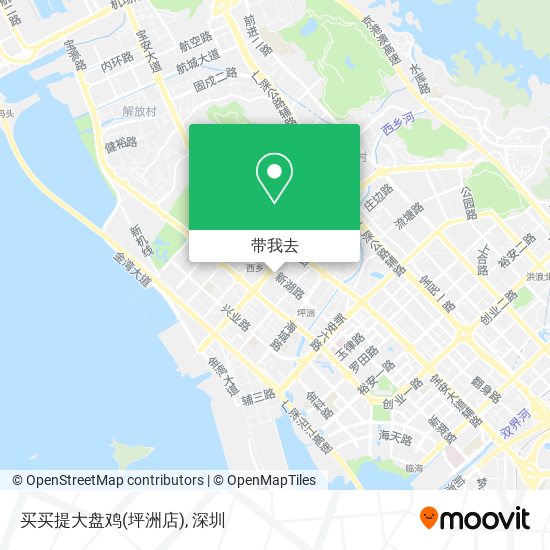 买买提大盘鸡(坪洲店)地图