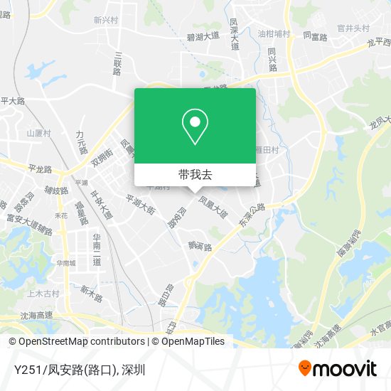 Y251/凤安路(路口)地图