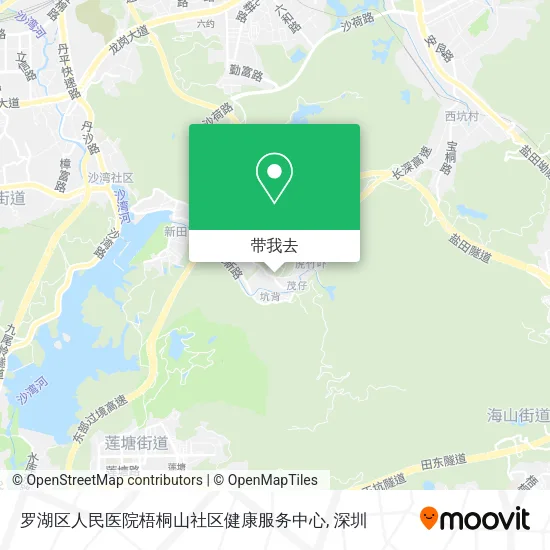罗湖区人民医院梧桐山社区健康服务中心地图