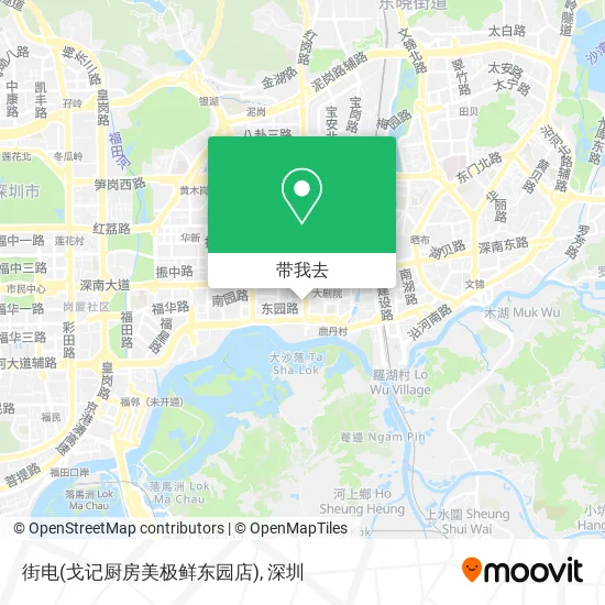 街电(戈记厨房美极鲜东园店)地图