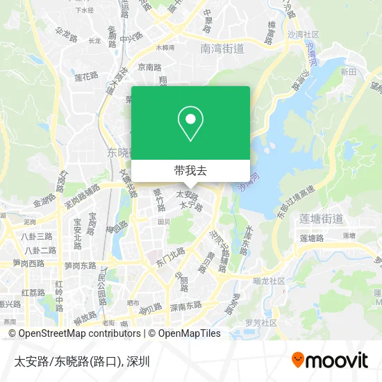太安路/东晓路(路口)地图