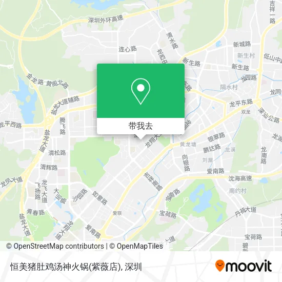 恒美猪肚鸡汤神火锅(紫薇店)地图