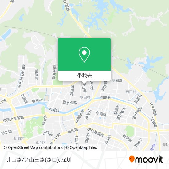 井山路/龙山三路(路口)地图
