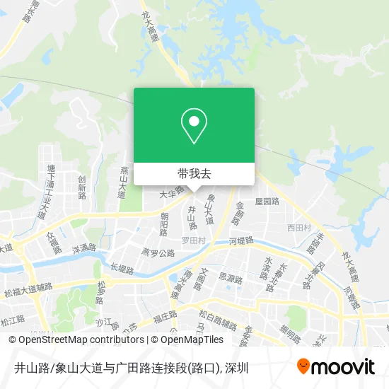 井山路/象山大道与广田路连接段(路口)地图