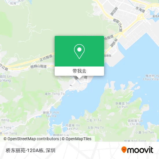 桥东丽苑-120A栋地图