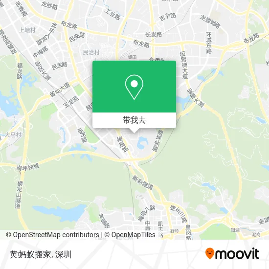 黄蚂蚁搬家地图