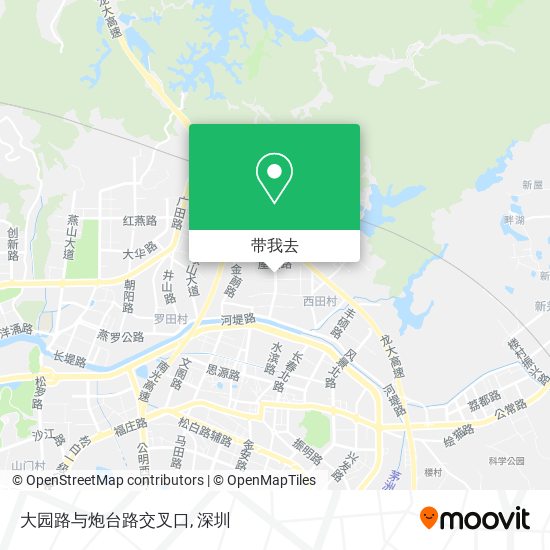 大园路与炮台路交叉口地图