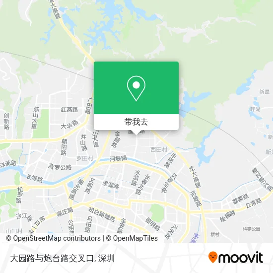 大园路与炮台路交叉口地图