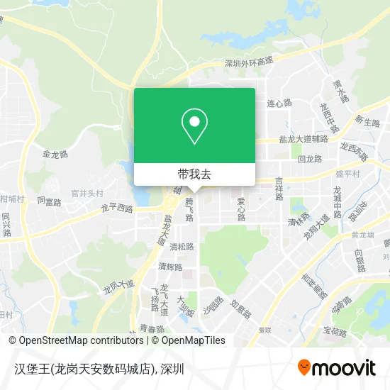 汉堡王(龙岗天安数码城店)地图