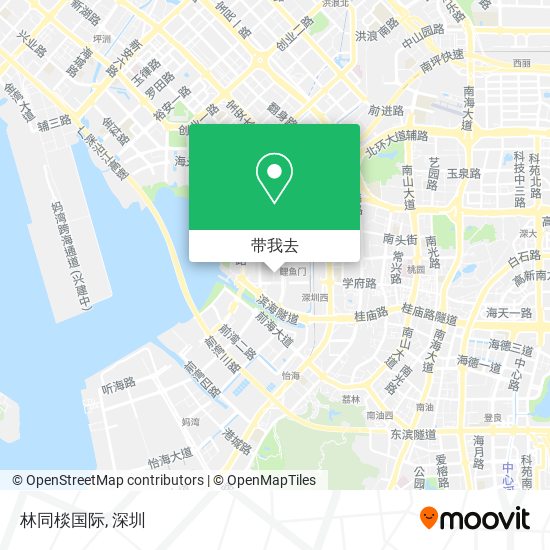 林同棪国际地图