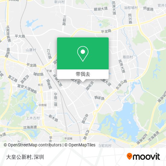大皇公新村地图