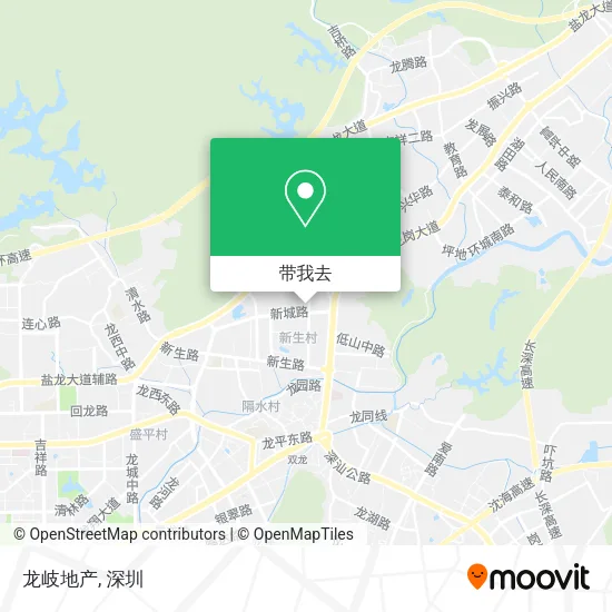 龙岐地产地图