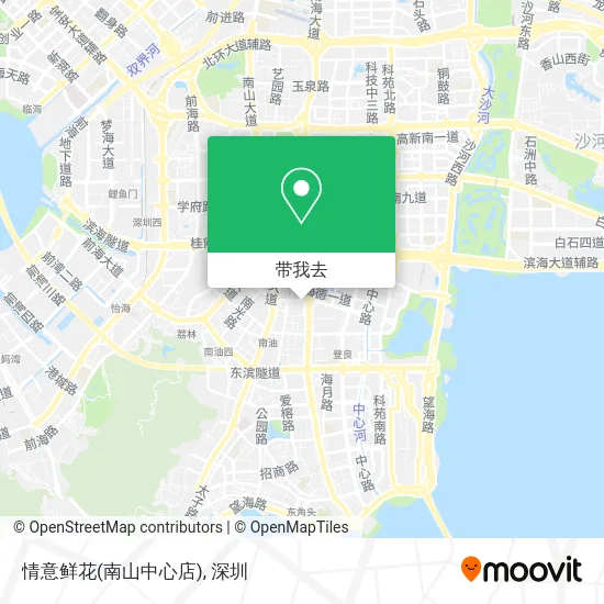 情意鲜花(南山中心店)地图