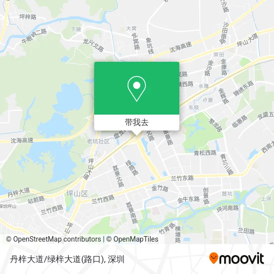 丹梓大道/绿梓大道(路口)地图