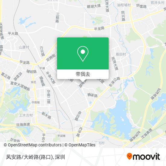 凤安路/大岭路(路口)地图
