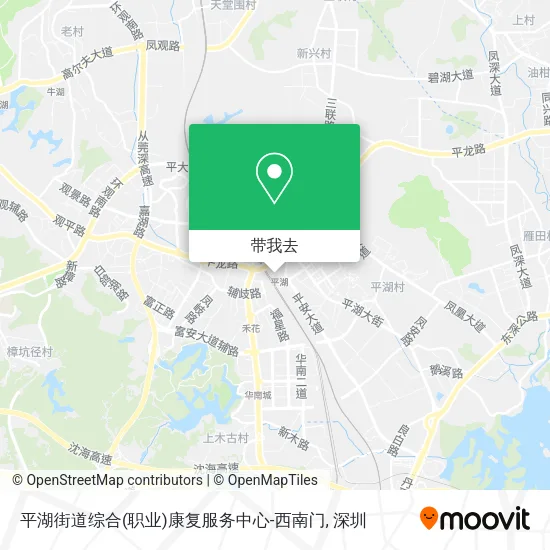 平湖街道综合(职业)康复服务中心-西南门地图