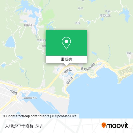 大梅沙中干道桥地图