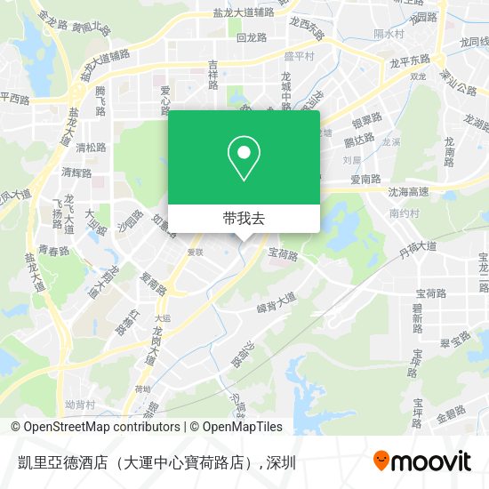 凱里亞德酒店（大運中心寶荷路店）地图