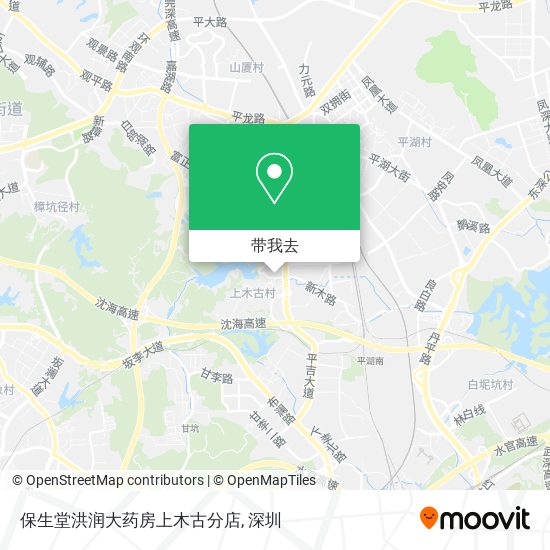 保生堂洪润大药房上木古分店地图