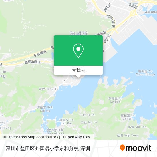 深圳市盐田区外国语小学东和分校地图