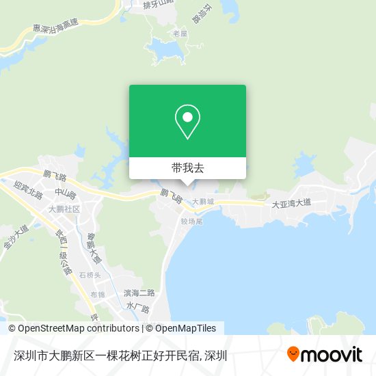 深圳市大鹏新区一棵花树正好开民宿地图
