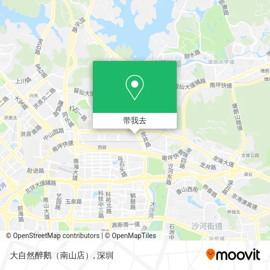 大自然醉鹅（南山店）地图