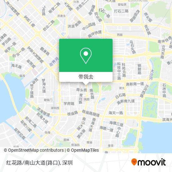 红花路/南山大道(路口)地图