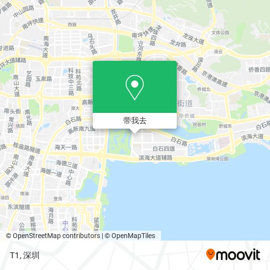 T1地图
