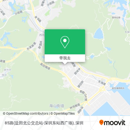 85路(盐田北公交总站-深圳东站西广场)地图