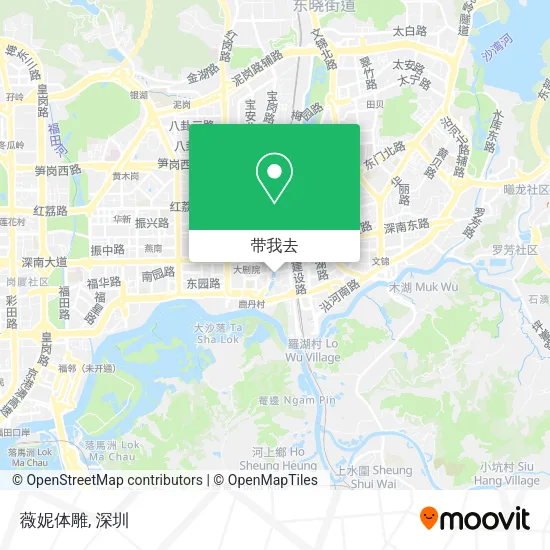 薇妮体雕地图