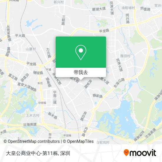 大皇公商业中心-第11栋地图