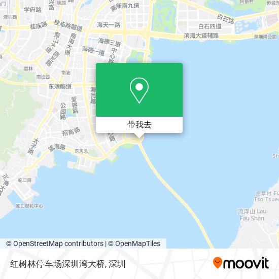 红树林停车场深圳湾大桥地图